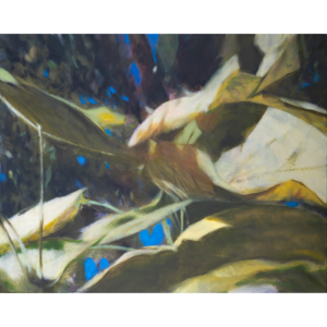 Catalpa