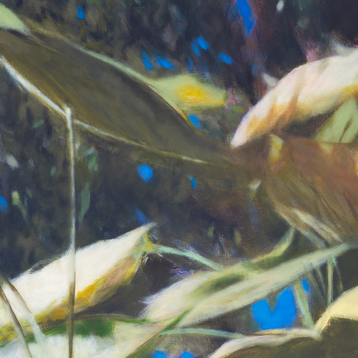 Catalpa (Print) - Image 2