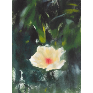 Single yellow rose