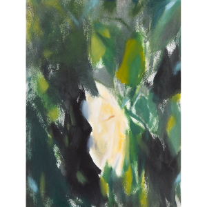 Single yellow rose (2)